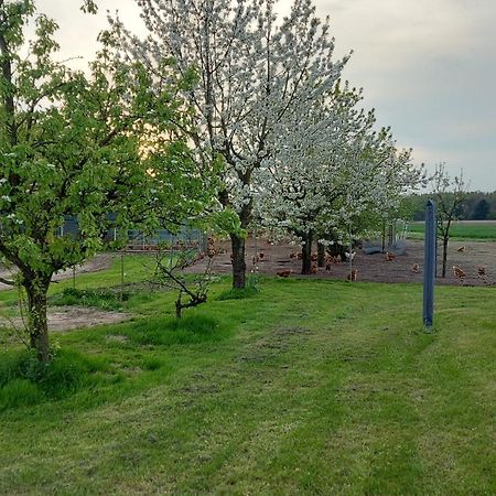 Apartamento Huehnerhof-Roehrs Schneverdingen Exterior foto