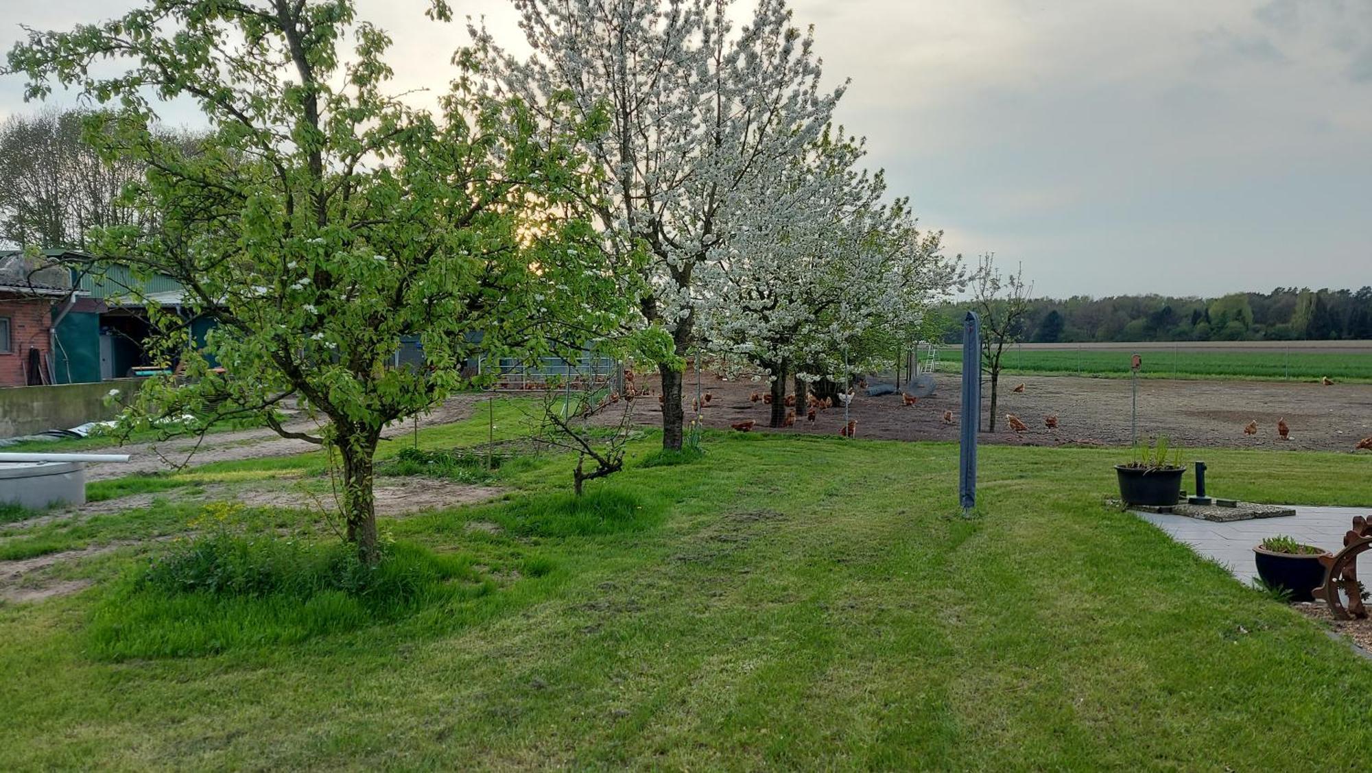 Apartamento Huehnerhof-Roehrs Schneverdingen Exterior foto